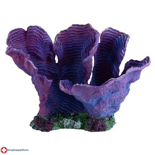 Blue candy coral - candy, decoration