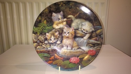 Kittens plate collectop - kittens,