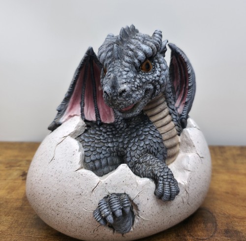 Hatching dragon egg - hatching,