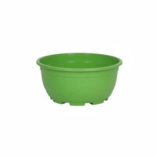 Large thickened flower - large,