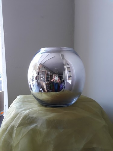 Mirror globe bowl goldfish - bowl,