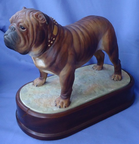 Bulldog royal worcester - royal,