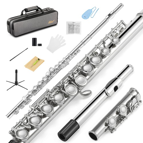 Eastar concert flute - concert, with