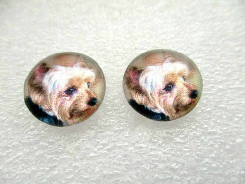 Yorkshire terrier dog glass - dog,