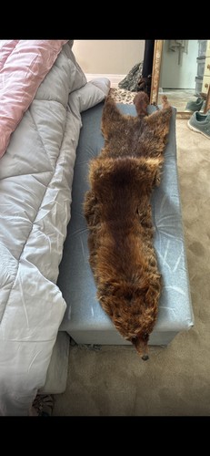 Vintage dark brown - vintage, fox