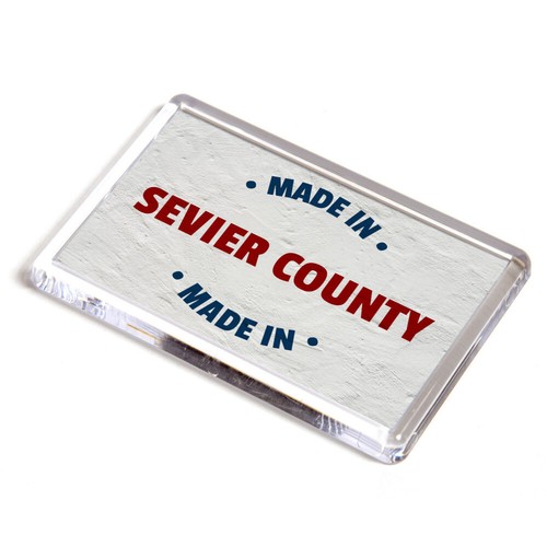 Fridge magnet made - fridge, sevier