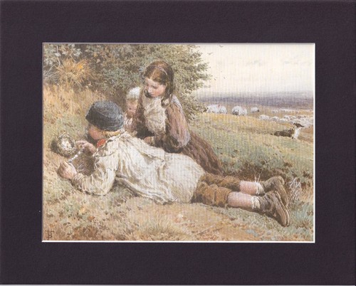 8x10 matted print art - 8x10",