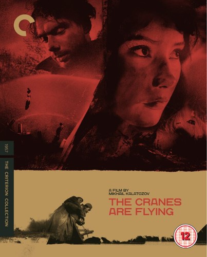 The cranes are flying - cranes,
