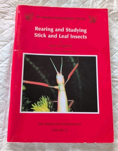 Rearing studying stick - stick, &