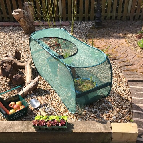 Popup garden cloche - pk,
