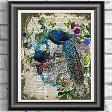 Peacocks Art print on
