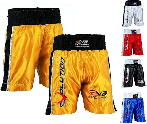 Evo men boxing fight - boxing,