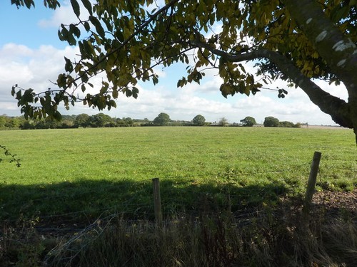 Photo pasture land - photo,