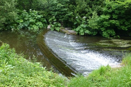 Photo 6x4 weir the - photo,