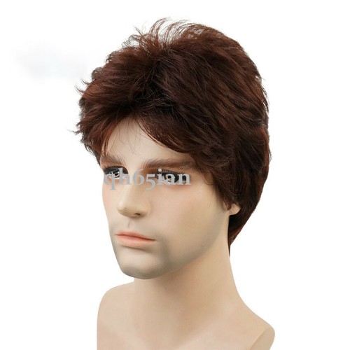 Mens handsome natural wig - natural,