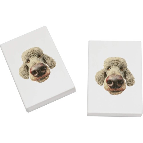 Funny poodle dog - x,