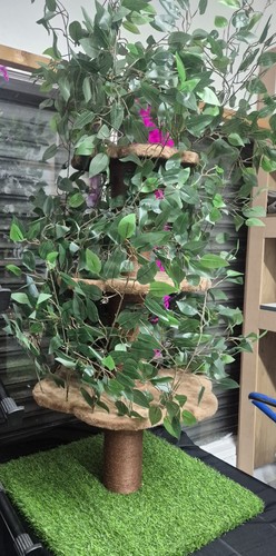 On2 cat tree - cat, with