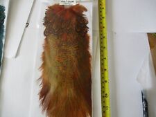 Pheasant rump patch chevron