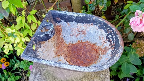 Old vintage cast iron cattle - cast,