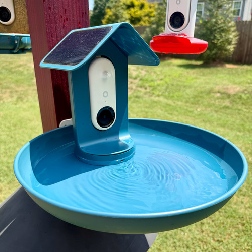 Birdbuddy smart bird bath - bath, +