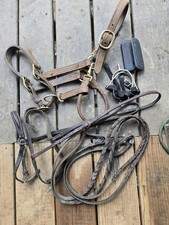 English Tack Lot Fennel Leather Halter, Nose Bands, Spurs Hunter Saddleseat
