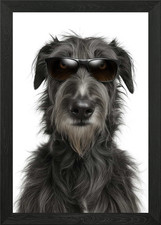 Cool Irish Wolfhound Dog in