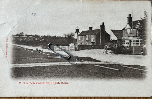 Cards mill green - 3,