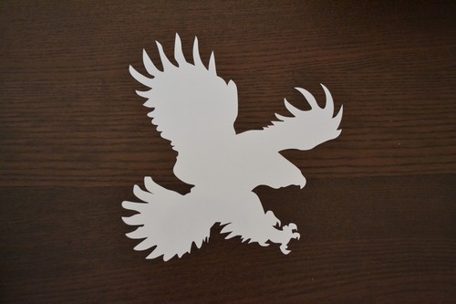 Bird prey eagle harris - of,