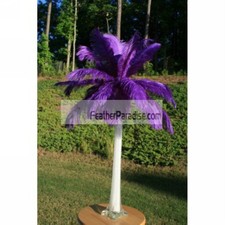 Purple Ostrich Feather