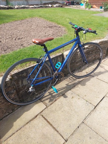 Carrera gryphon road - bike, blue