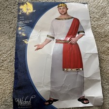 Roman Emperor Fancy Dress Toga Men’s Large
