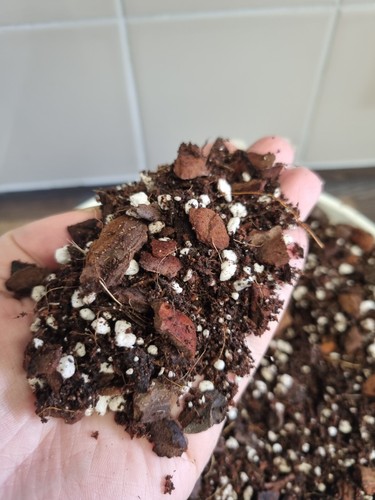 Chunky potting mix - |, aroid