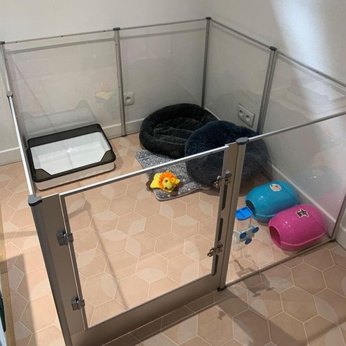Large spacious acrylic dog - large,