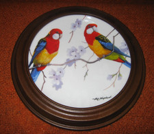 Maxwell & Williams Birds Of