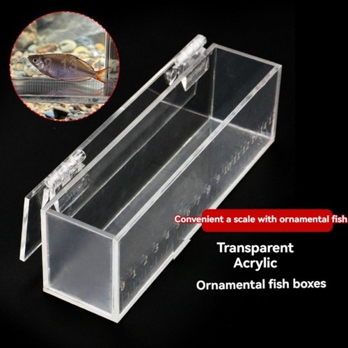 Fish viewing box acrylic - fish,