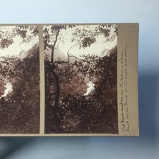 Unknown Gorge Yorkshire Stereoview C1900 Real Photo Moody Rural Study