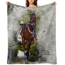 Harness Horse Cart Racing 02