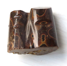 Petrified wood Fossil Carving