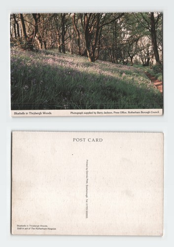 Vintage postcard thrybergh - vintage,