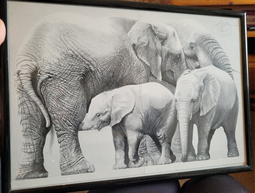 Gary hodges elephant print - gary,