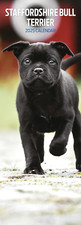 Staffordshire Bull Terrier