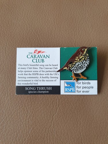 Rspb song thrush - rspb, pin