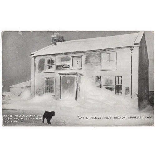 Cat fiddle inn - &,