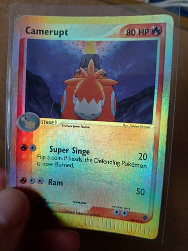 Dragon camerupt holo shiny - holo,