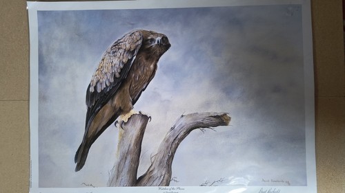 David rowlands signed limited - david,