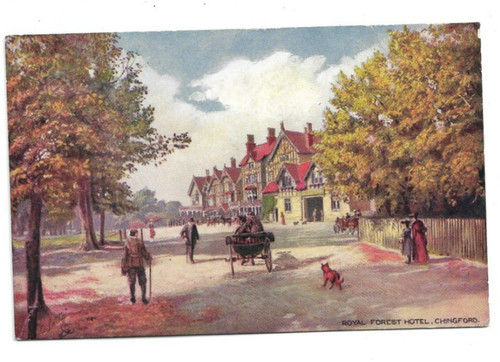 Chingford royal forest - chingford,,