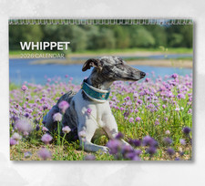 Whippet Calendar 2026: Monthly