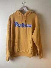 Champion Panthers Hoodie Men's