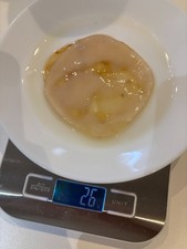 8cm 26g Home Made Kombucha Scoby Starter Tea Kombucza Probiotic Free Postage