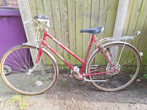 Vintage 1970s womens falcon - womens,